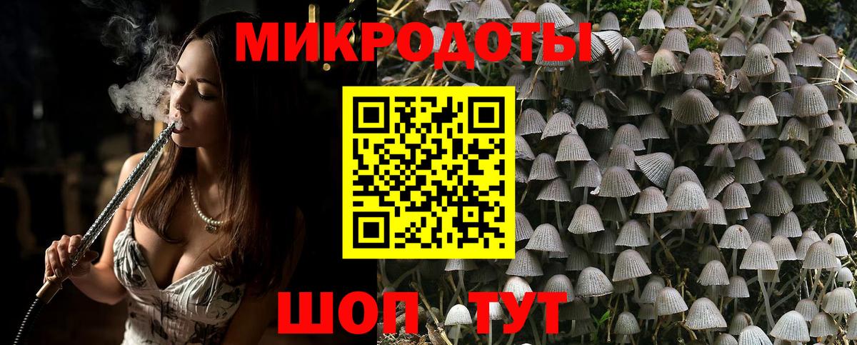 Галлюциногенные грибы Cubensis Калач-на-Дону